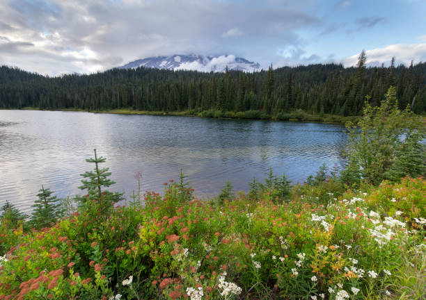 istock Reflection Lakes in Mount Rainier National Park 1214826377