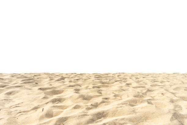 istock Sand beach texture Di cut isolated on white background 1214844503