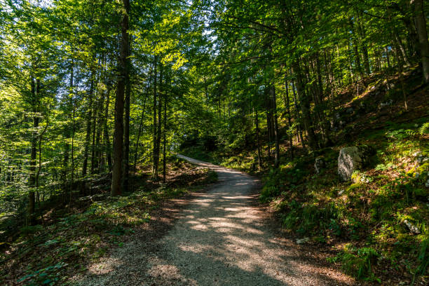 istock Malerwinkel circular hiking trail at Konigssee, Berchtesgaden 1214845436