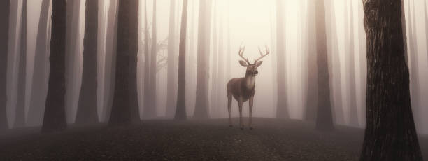 istock Deer in a foggy forest . This is a 3d render illustration . 1214845765
