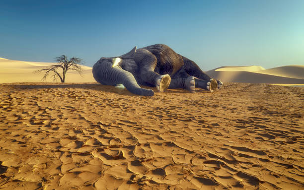 istock Dying elephant on drought cracked desert landscape. Global warming concept. This is a 3d render illustration. 1214845769