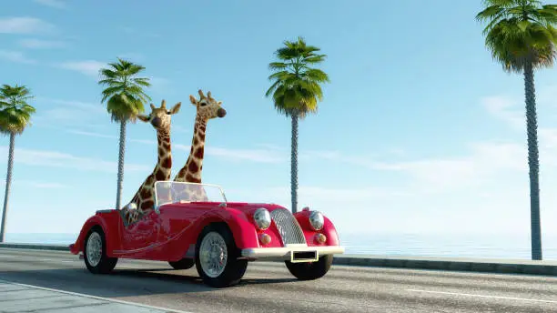 Photo of Giraffe couple in a retro car . Safari trip concept . This is a 3d render illustration .