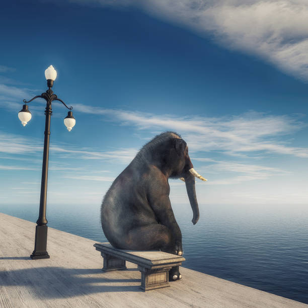 Elephant sitting on bench at seafront admiring the view . This is a 3d render illustration .