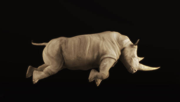 istock Rhino attacks , isolated on black background . This is a 3d render illustration . 1214845799