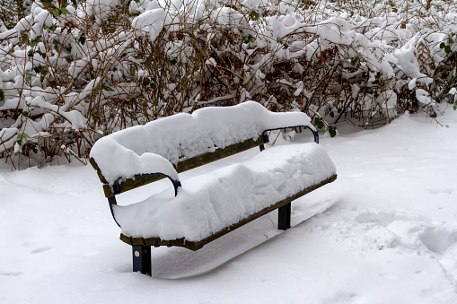 snow-covered bench, Burnaby, BC, Canada