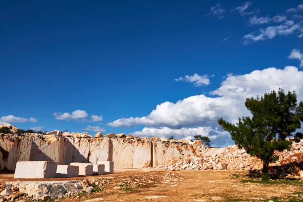 istock pine tree and marble blocks at abandoned marble quarry in the sunny day 1214850559