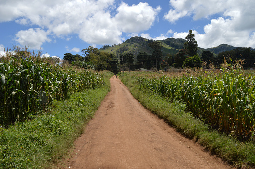 An african road in the village near corn field in Malawinot far from Dedza Pottery. Amazing view to Dedza mountain among fluffy clouds and green exotic trees. A