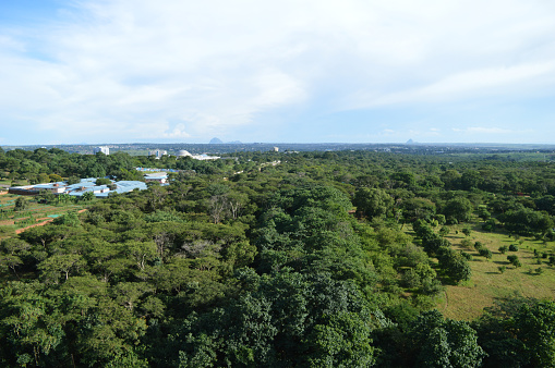 Beautiful panorama to the african park from the top of Independance Square in the capital of Malawi - Lilongwe. A lot of different green trees in botanical garden in Africa. City view.