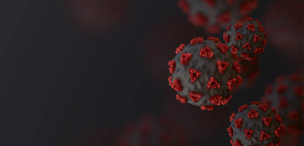 Novel Coronavirus (2019-nCoV). Virus Covid 19-NCP. Coronavirus nCoV denoted is single-stranded RNA virus. Background with realistic 3d balck and red viruses cells. SARS-CoV2. vector illustration. Novel Coronavirus (2019-nCoV). Virus Covid 19-NCP. Coronavirus nCoV denoted is single-stranded RNA virus. Background with realistic 3d balck and red viruses cells. SARS-CoV2. vector illustration. balck stock illustrations