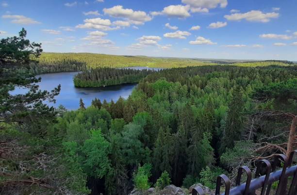 istock Finnish lake in the beautiful summer 1214858253