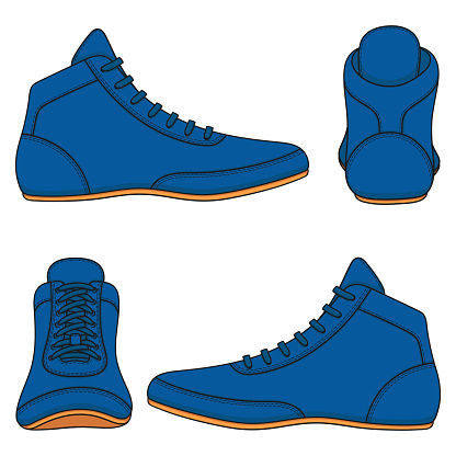 Set Of Color Illustrations With Blue Wrestling Shoes Sports Shoes Isolated  Vector Objects Stock Illustration - Download Image Now - iStock