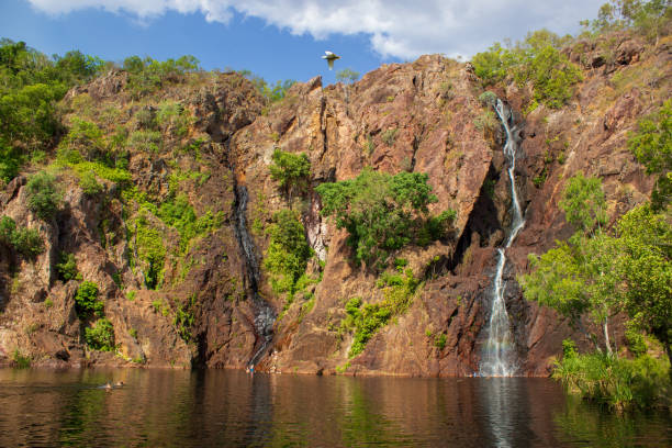 belles chutes d’eau wangi au coucher du soleil dans le parc national de litchfield, territoire nordique - kakadu photos et images de collection