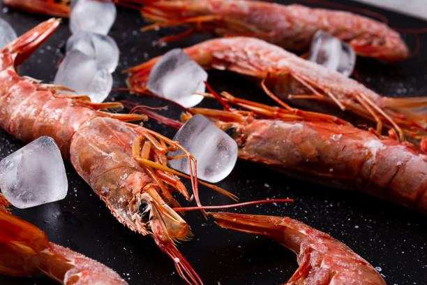 Frozen large raw shrimps on black background.