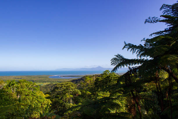 istock view over Daintree National Park during sunset, Cape Tribulation, Australia 1214882407