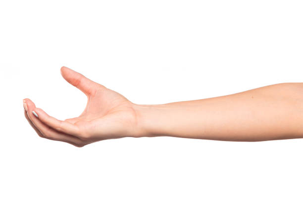 istock female hand isolated on white background showing hand gestures 1214882548