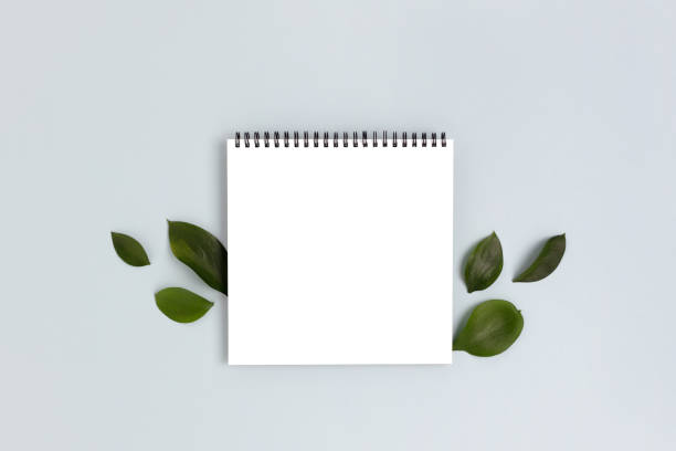 istock Frame made of green leaves on a blue pastel background. Blank notepad mockup. 1214883175
