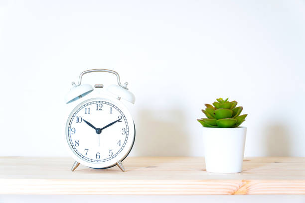istock Alarm clock and flower pot on white background. Front view. Copy space 1214884335