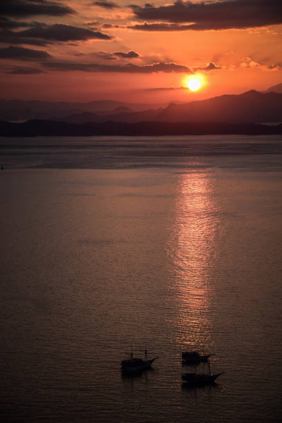 istock Komodo National Park 1214888788