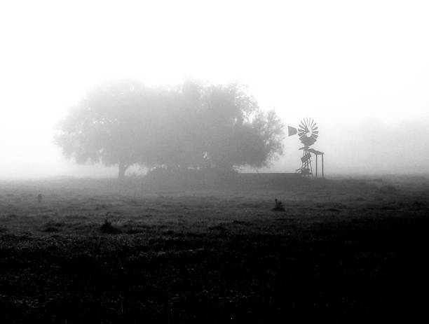 istock Foggy morning on a Florida Farm 1214889205