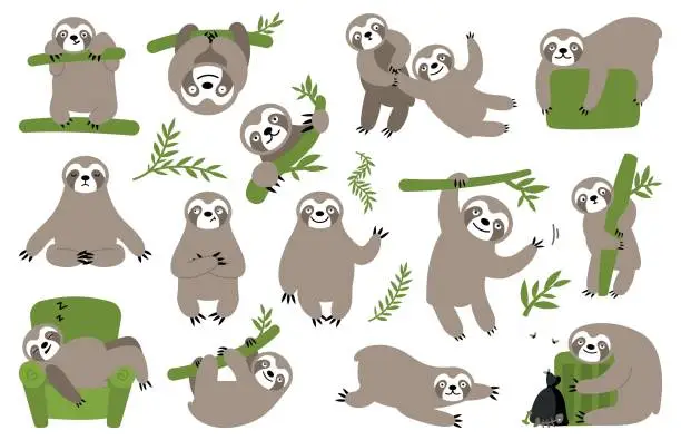Vector illustration of Sloth on branch. Cute little kid sleepy animal on branch in zoo playing with baby hanging vector characters cartoon.