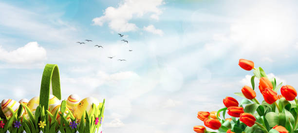 istock basket of decorated Easter eggs on a sunny spring sky background 1214889576
