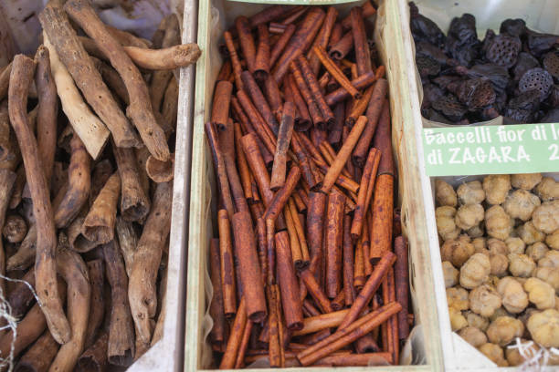 istock Cinnamon sticks and other dried fruits 1214891180