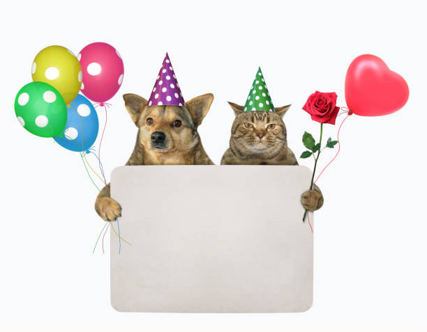 Dog with cat hold blank sign