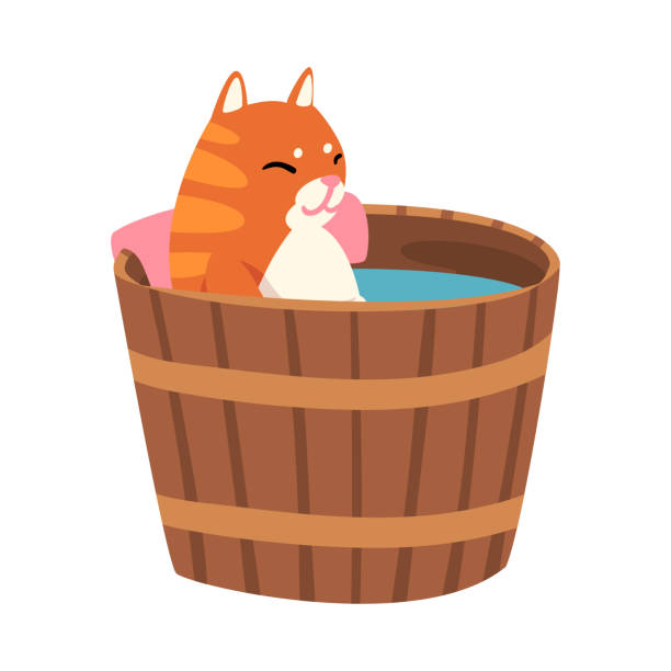 Rote Katze unter japanischen heißen Frühling Bad, lustige Haustier Tier genießen Spa Verfahren in Holz Fass Vektor Illustration