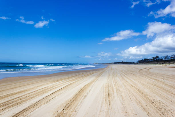 istock Main transportation highway on Fraser Island - wide wet sand beach coast facing Pacific ocean - long 75 miles beach 1214892648
