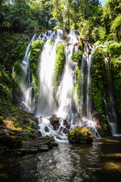 istock Bali Island in Indonesia 1214894281