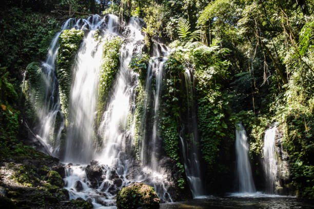 istock Bali Island in Indonesia 1214894310