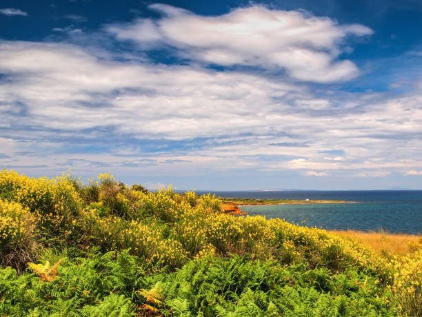 istock Paradise Dalmatian coastline 1214894888