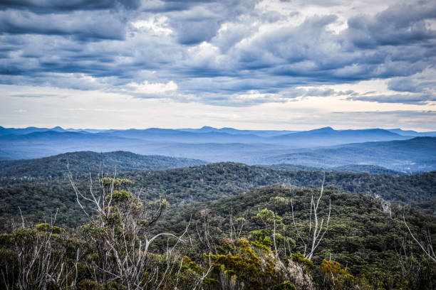 istock Victoria state in Australia 1214894902