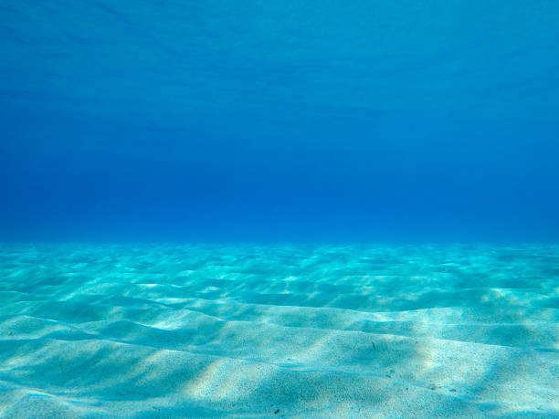 istock Sandy underwater sand on a shallow seabed in the Mediterranean sea with reflections of sunlight 1214896235