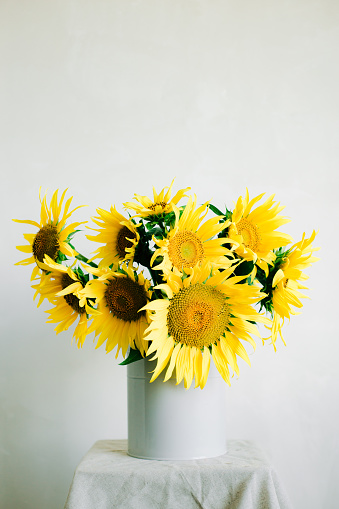 bouquet of bright yellow sunflower flowers in a retro vase on a table covered with a white tablecloth