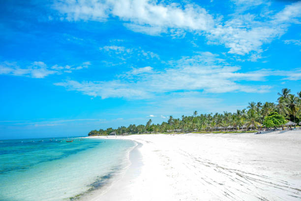 istock Beautiful beach with palms and turquoise sea 1214899141