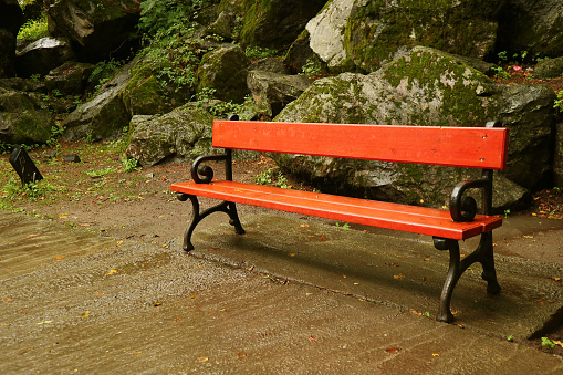 Empty red wooden park bench in the light rain