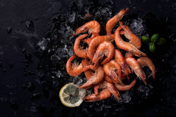 istock Shrimps on ice on black stone background 1214904175