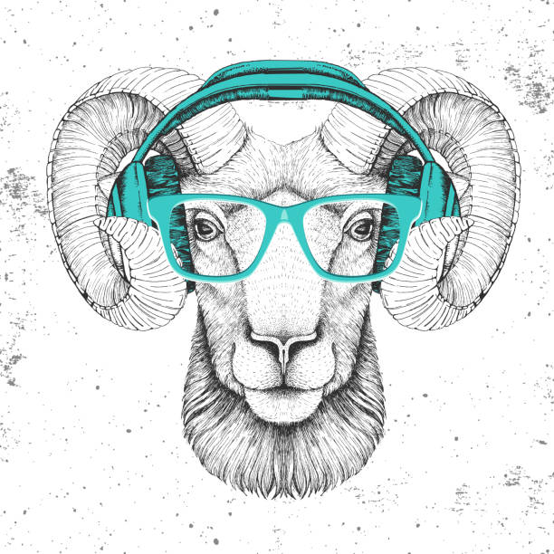 illustrations, cliparts, dessins animés et icônes de ram animal hipster ou mouflon avec des écouteurs. muzzle de dessin de main du bélier animal - nose job audio