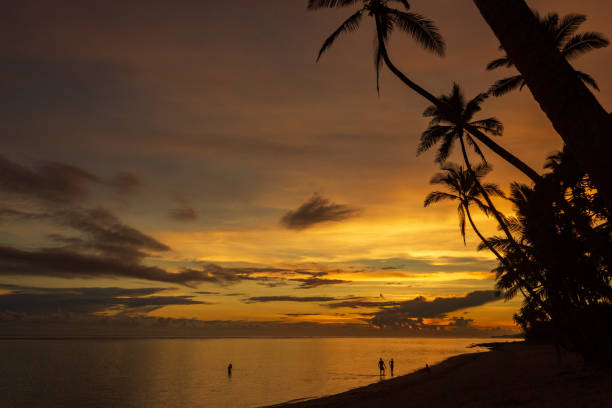 Colorful sunrise on the Tambua Sands Beach on Fiji Island, Fiji Colorful sunrise on the Tambua Sands Beach on Fiji Island, Fiji. taveuni photos stock pictures, royalty-free photos & images