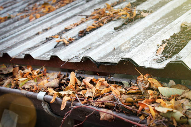 A dirty roof with a clogged gutter and drainpipe around the house. Leaves and branches as a hindrance to the flow of water. Rain sewer. A dirty roof with a clogged gutter and drainpipe around the house. Leaves and branches as a hindrance to the flow of water. Rain sewer. eaves stock pictures, royalty-free photos & images