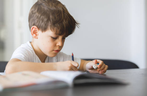 istock Portrait of a boy learning at home 1214909682