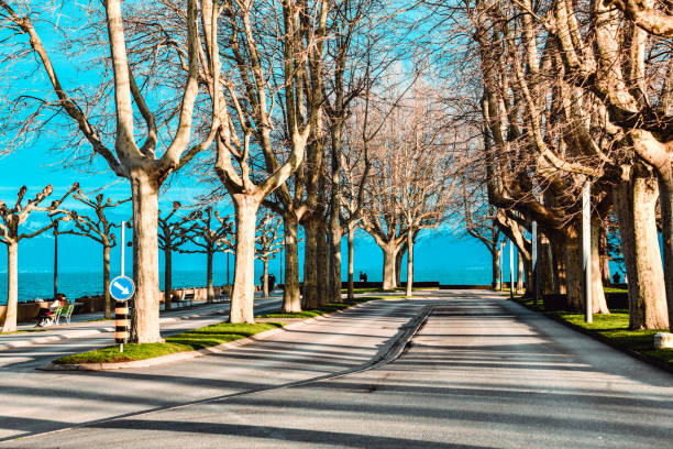 Park In Lausanne Looking At Lake Geneva