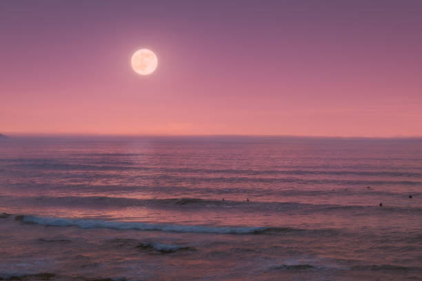 Washington Coast