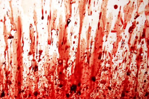 Splash paint series on white background