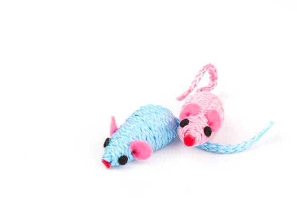 istock blue and pink toy mouse for pet isolated on white background 1214911005