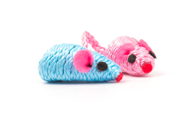 istock blue and pink toy mouse for pet isolated on white background 1214911014