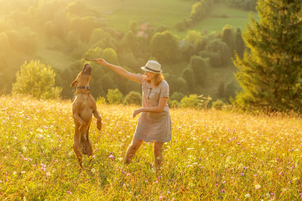 istock Woman with a dog playing on a mountain 1214912053