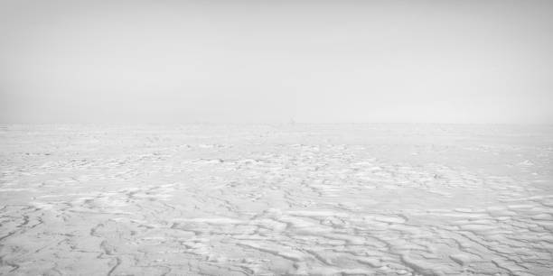 istock snowy plain on a winter day - white haze 1214912155