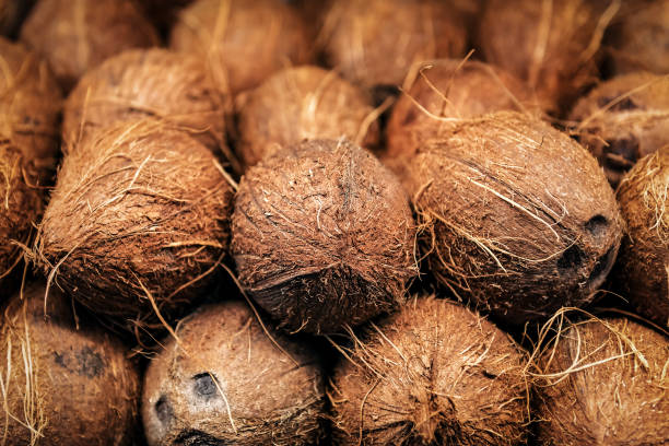 istock heap of ripe coconut 1214913495